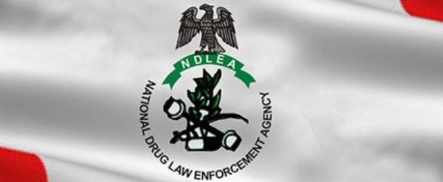 Many youths unaware of drug abuse consequences – NDLEA