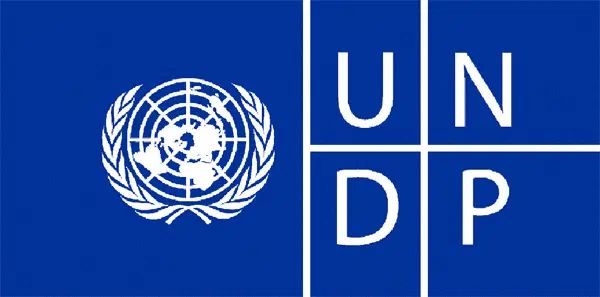 Africa must stop pilot projects, scale-up what works – UNDP