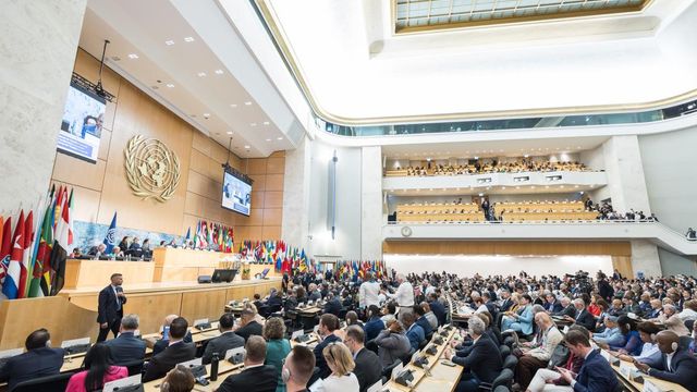 Geneva Convention: Nigerian women workers seek stronger protection against abuse