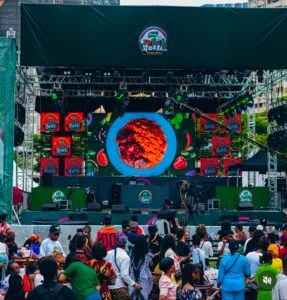 Lagos residents defy downpour to feast at Knorr Jollof Fest