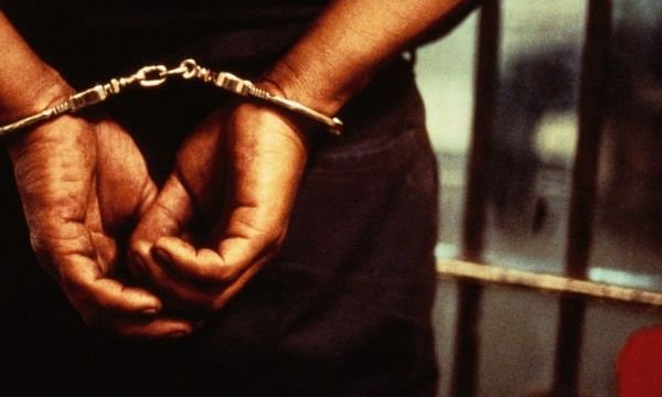 Driver to spend 1 year in correctional centre for stealing 10 cartons of milk