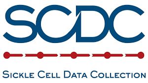 Plateau establishes sickle cell registry to strengthen data collection, planning