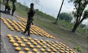 Troops intercept suspected drug trafficker with 235kg cannabis on Abuja route