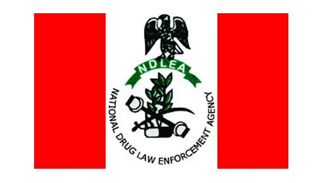World Drug Day: NDLEA warns youths against drug abuse