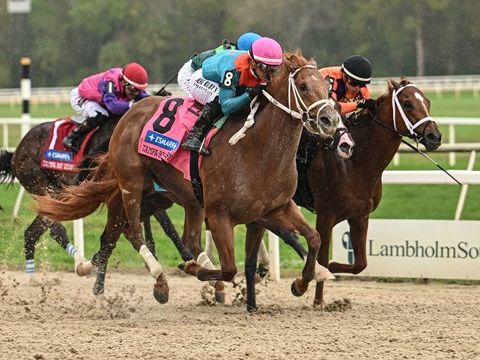After 14 dormant years, ‘Zaria Horse Racing Derby’ returns with foreign entries