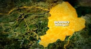 We were starved, molested by Boko Haram -Rescued Ngoshe captives recount ordeal