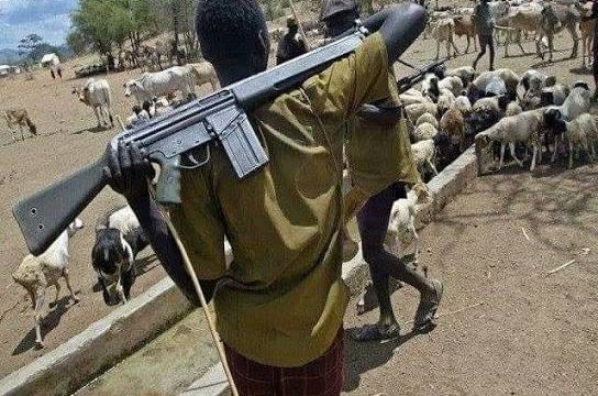 Nine-Year-Old Girl Dies After Sustaining Injuries in Alleged Herdsmen Attack in Kogi Community