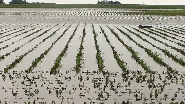 Farmers count heavy losses in Lagos floods