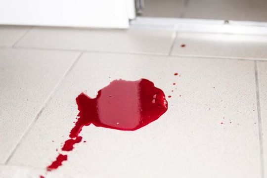 Party organiser reportedly found dead after months in captivity