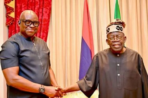 Tinubu appoints Fayose as REA Chairman