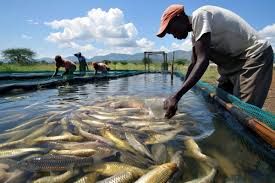 Maritime expert urges coastal state governors to adopt AU fisheries framework