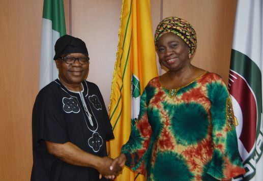 FG pledges deeper collaboration with NIDCOM to formalise remittances, tackle brain-drain