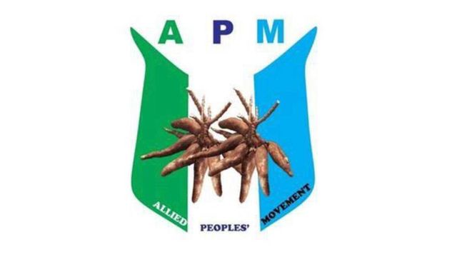 2027: Tinubu jittery over Makinde’s growing popularity — APM claims