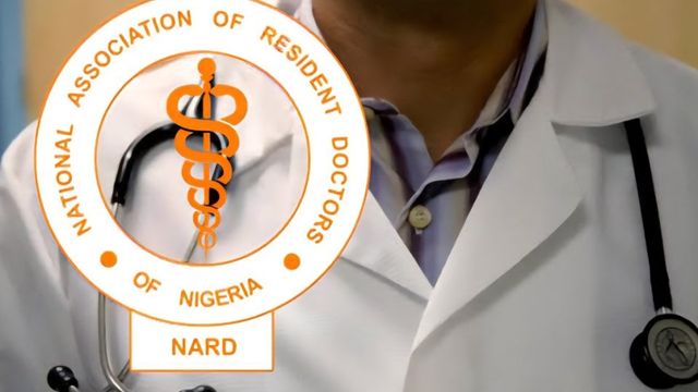 We will go on strike if you intimidate doctors — NARD warns LUTH