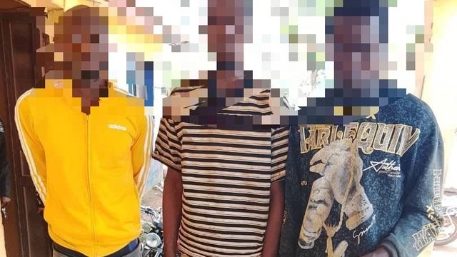 Police arrest suspected armed robbers, gunrunner, cultists in Delta