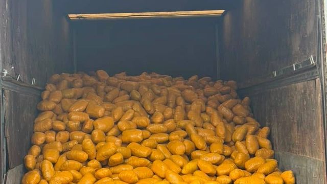 Troops intercept truck conveying illicit drugs on Lagos-Calabar Coastal Road