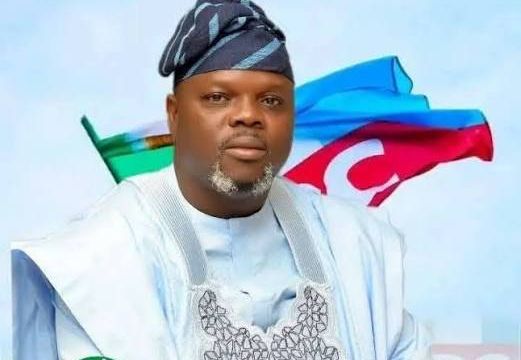 After confirmation, Alli set to unveil NRS Chairman’s brother as running mate