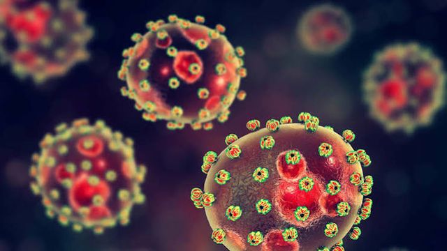 Lassa fever: NCDC activates emergency response, as fatality rate hits 24%