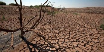 Rising temperatures could wipe $20bn from African economies — AfDB Warns