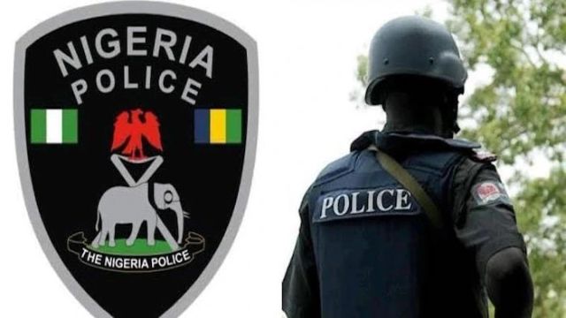 Police arrest 2, recover pistols in Delta