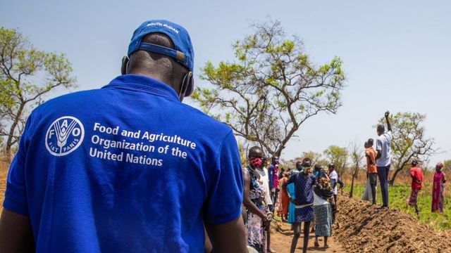 FAO, Borno brainstorm to tackle issues on climate-smart agricultural investment