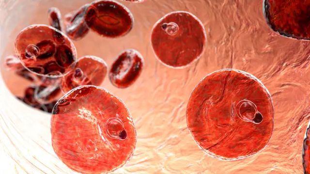 Report calls for stronger private sector role in malaria control
