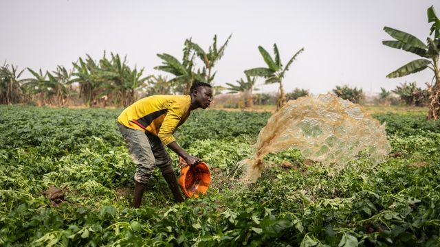 Nigeria’s food security begins before the farm