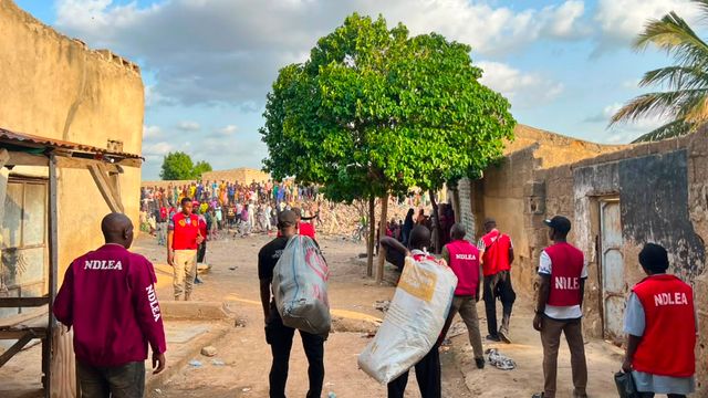 NDLEA launches ‘Operation Restore Order’, arrests 80 suspects in Kano