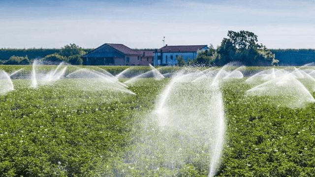 Kano, FG expanding irrigation infrastructure to boost food security, economic dev’t — Gov. Yusuf