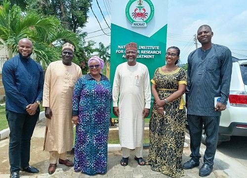 N302.3bn cancer institute to train oncology experts across Africa – NICRAT D-G