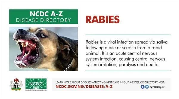 Vet debunks rabies myths, urges vaccination
