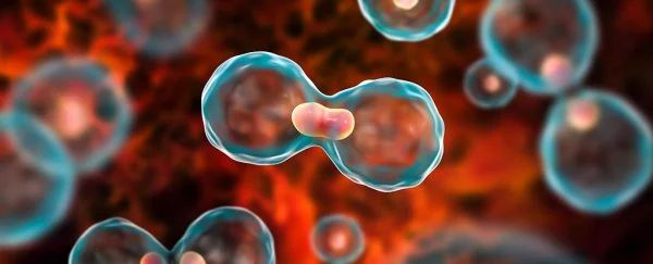 Cancer: Oncologist urges early alarm, detection