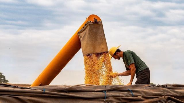 Iran develops plant-based alternatives to chemical pesticides