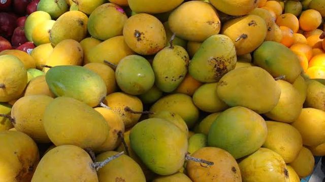 Nigeria produces 1m tons of mangoes annually, ranks 11th globally – NAMPPMAN