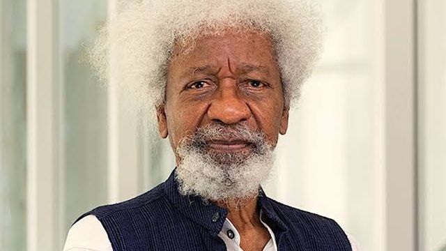 Soyinka demands accountability for extrajudicial killings in Nigeria