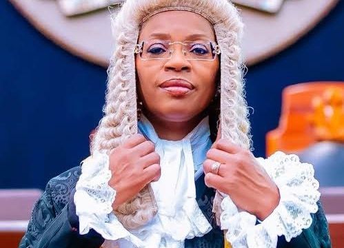 Oyinkansola Badejo-Okusanya and her journey to the top of the Nigerian Bar