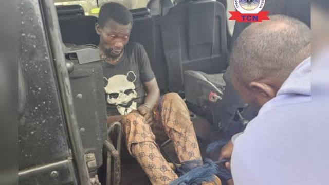 TCN hails vigilante over arrest of suspected vandal