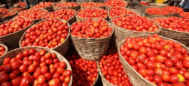 Nasarawa govt. shuts down tomato market over poor sanitation