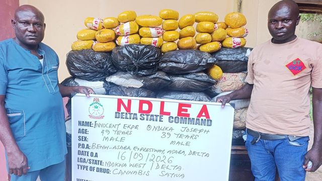 NDLEA intercepts N3.4bn loud, Opioids