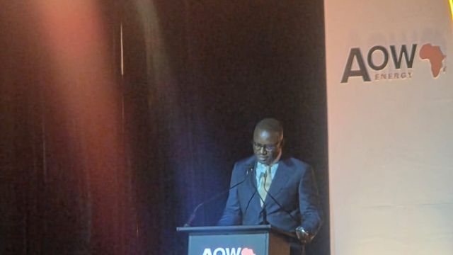 Africa must utilise its resources to drive industrialization — Mahama