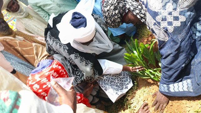 Emir of Zazzau inaugurates tree planting along ancient Zaria city walls