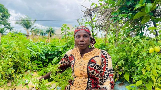 CSOs, women farmers laud Nasarawa govt on citizen budget initiative