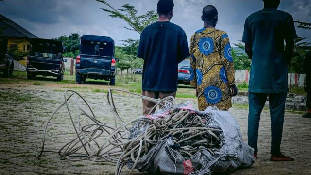 Osun NSCDC arrests Father, Son, one other over alleged theft, sale of electrical cables