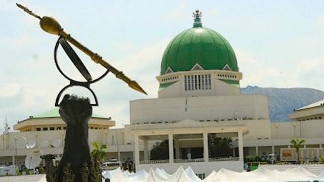 National Assembly to translate laws into local languages