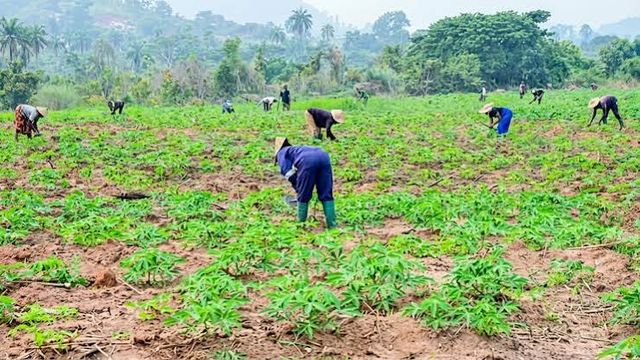 FG advances food security through ONSA AgriShield Initiative