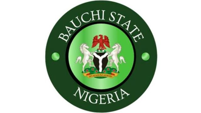 Bauchi adopts digital technology ​to transform tourism industry