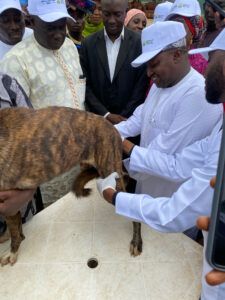 Kaduna govt launches anti-rabies campaign for dogs, cats to curb Zoonotic diseases
