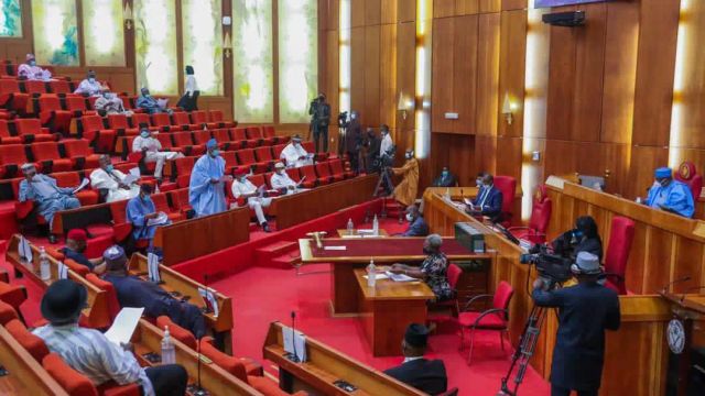 Senate considers allowing medical college to award PhDs