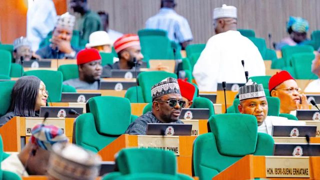 Reps push for local servicing, safety requirements for EV, CNG vehicle importers