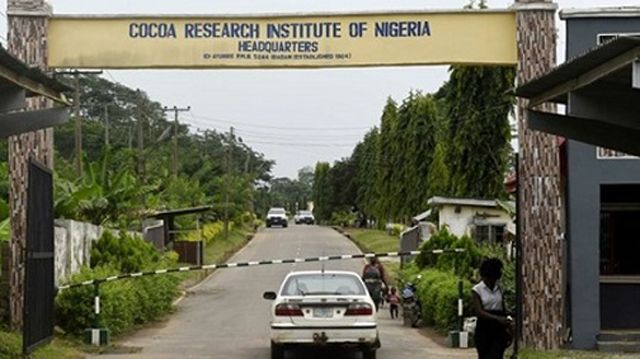 Three abducted CRIN workers regain freedom in Ibadan after six days